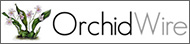 OrchidWire
